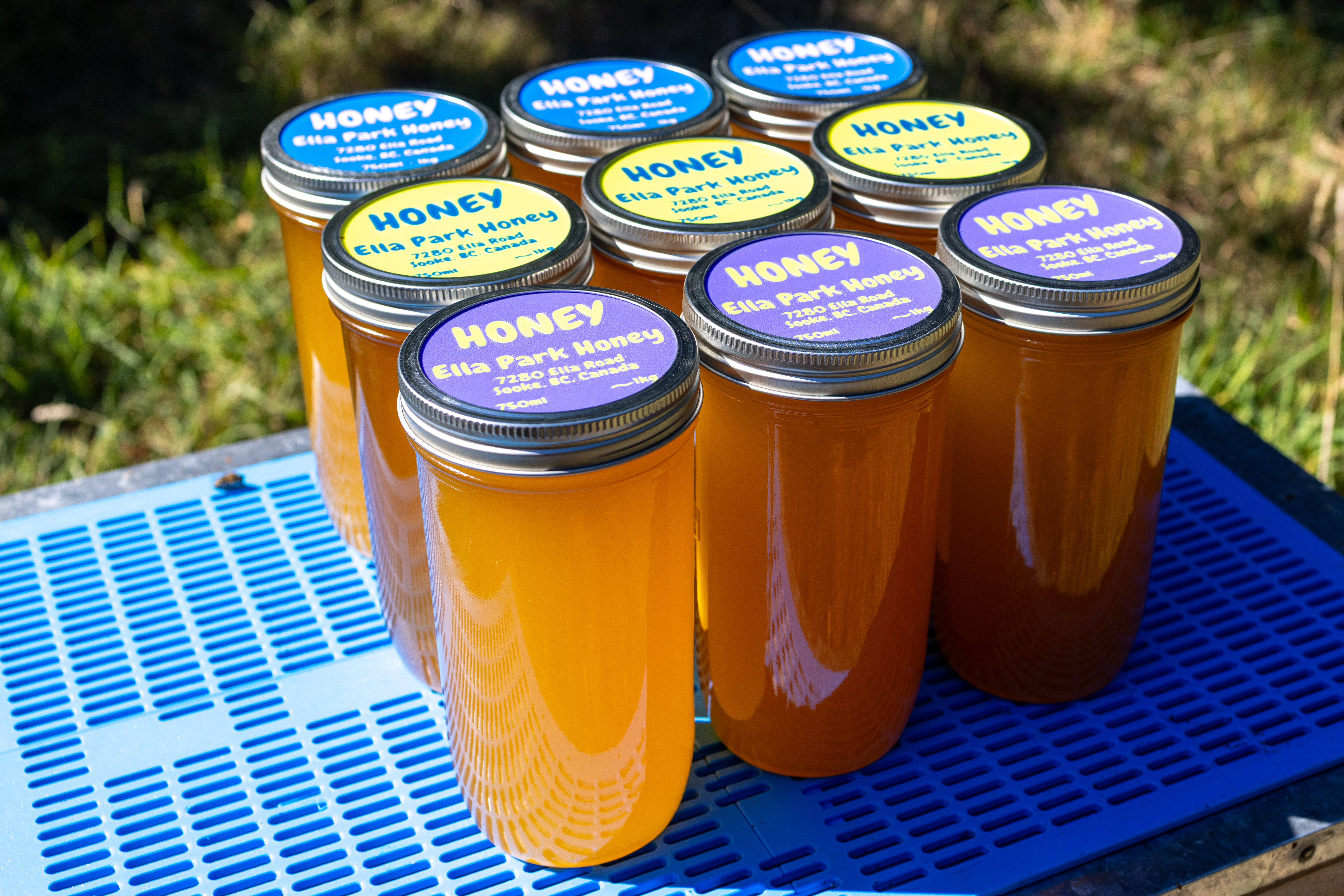 Jars of freshly harvested 2026 Ella Park Honey with colourful batch lids